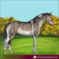 Horse Color:Brown Dun Tobiano Brindle 