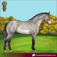 Horse Color:Gray Brown Roan Dun Mushroom Sabino Rabicano Brindle 