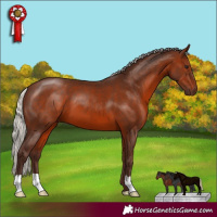 Horse Color:Silver Brown