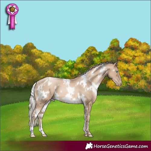 Horse Color:White Spotted Chocolate Palomino Pearl Sabino
