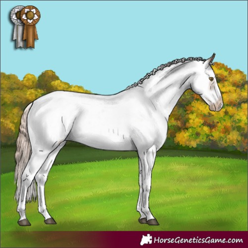 Horse Color:Liver Chestnut Pearl Sabino Frame Rabicano