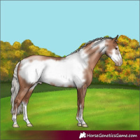 Horse Color:Silver Black Pearl Frame