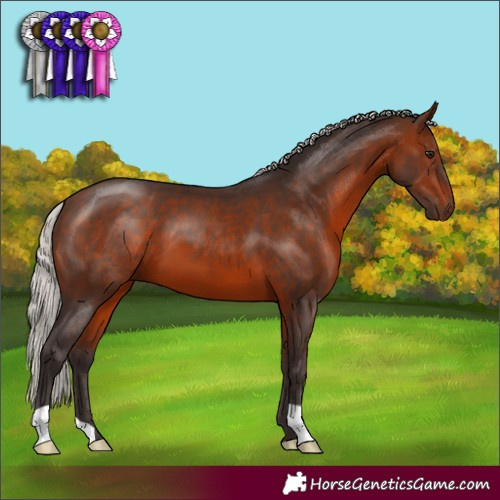 Horse Color:Silver Brown