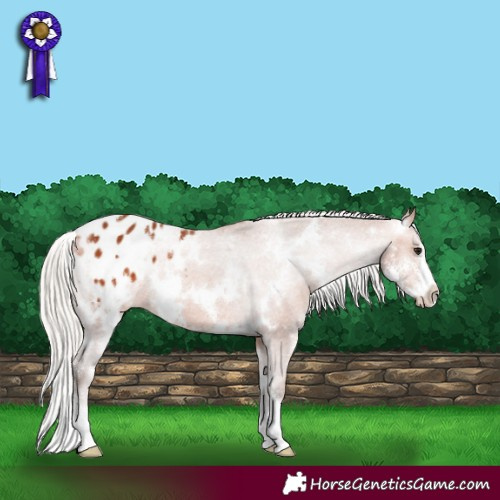 Horse Color:White Spotted Silver Bay Sabino Varnish 