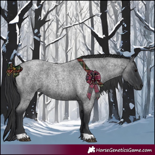 Horse Color:Blue Roan and Blue Roan