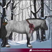 Horse Color:Blue Roan  and Blue Roan 