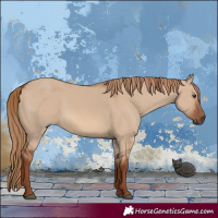 Horse Color:Red Dun 