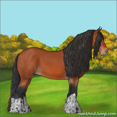Horse Color:Bay and Bay