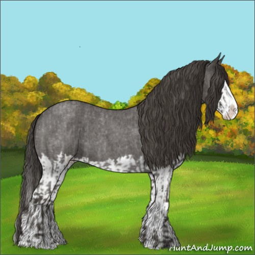 Horse Color:Smoky Blue Roan Sabino Splash and Smoky Blue Roan Sabino Splash