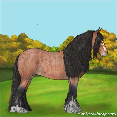 Horse Color:Bay Roan Sabino Rabicano and Bay Roan Sabino Rabicano