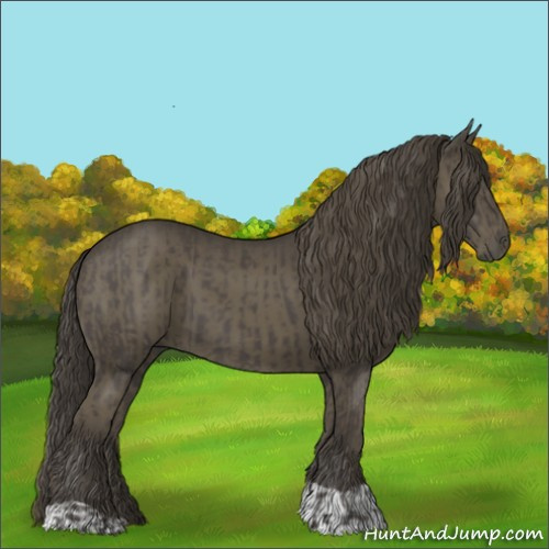 Horse Color:Smoky Black and Smoky Black