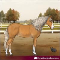 Horse Color:Palomino 