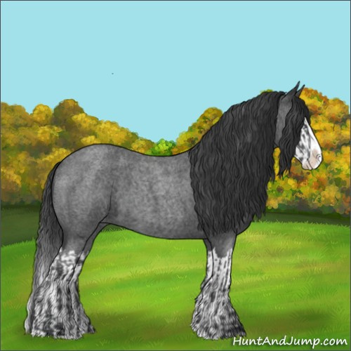 Horse Color:Blue Roan Sabino Splash and Blue Roan Sabino Splash