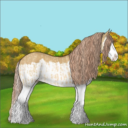 Horse Color:Palomino Dun Splash and Gray Palomino Dun Splash