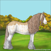 Horse Color:Palomino Dun Splash and Gray Palomino Dun Splash