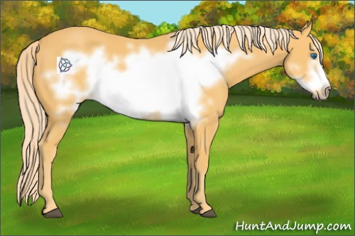 Horse Color:Palomino Frame 