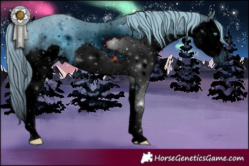 Horse Color:ERROR: UNKNOWN ANOMALY