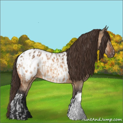 Horse Color:Bay Dun Appaloosa  and Bay Dun Appaloosa 