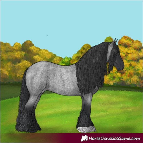 Horse Color:Blue Roan 