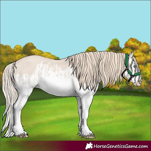 Horse Color:Smoky Creme Splash and Smoky Creme Splash