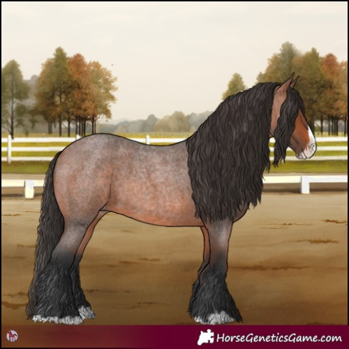 Horse Color:Bay Roan Splash 