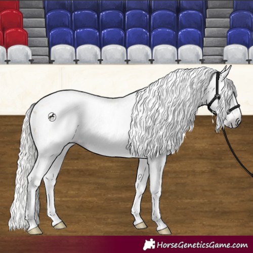 Horse Color:Gray Silver Amber Cream Champagne Roan Dun Splash Tobiano Frame Appaloosa Rabicano 