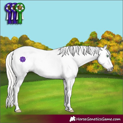 Horse Color:Gray Silver Amber Cream Champagne Roan Dun Splash Tobiano Frame Appaloosa Rabicano 