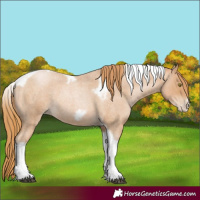 Horse Color:Red Roan Pearl Tobiano Frame 