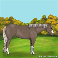 Horse Color:Silver Black 