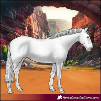 Horse Color:Gray Silver Amber Cream Champagne Roan Dun Splash Tobiano Frame Appaloosa Rabicano 