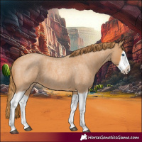 Horse Color:Red Roan Splash Frame