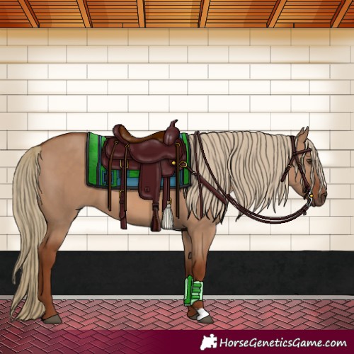 Horse Color:Red Dun 