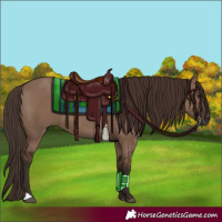 Horse Color:Liver Red Dun 