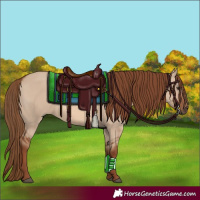 Horse Color:Red Dun 