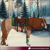 Horse Color:Red Dun 
