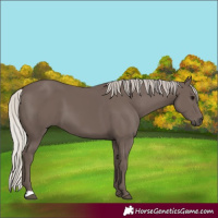 Horse Color:Silver Black 