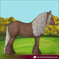 Horse Color:Silver Black 