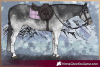 Horse Color:White Spotted Black