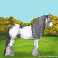 Horse Color:White Spotted Black Sabino Frame 