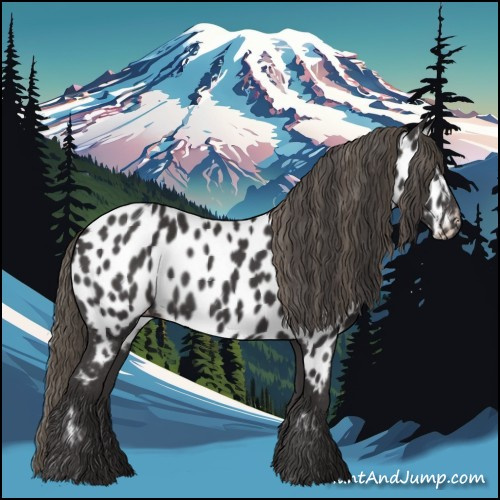 Horse Color:Smoky Black Appaloosa 