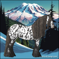 Horse Color:Smoky Black Appaloosa 