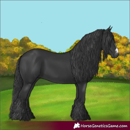 Horse Color:Black Frame 