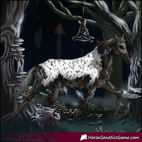 Horse Color:Black Splash Appaloosa 