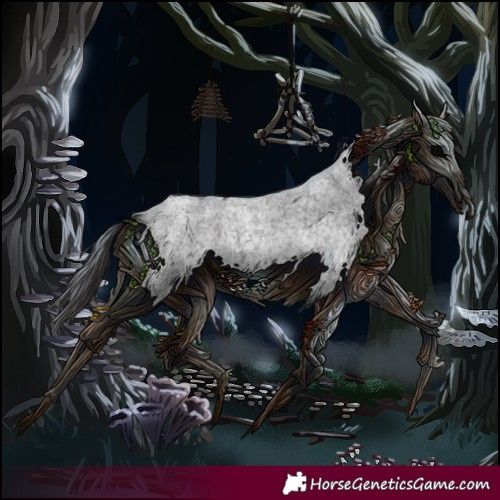 Horse Color:Smoky Blue Roan Splash 