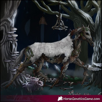 Horse Color:Smoky Blue Roan Splash 