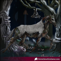 Horse Color:Smoky Blue Roan Splash 