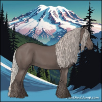 Horse Color:Silver Black 