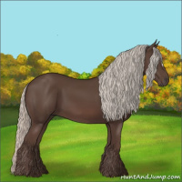 Horse Color:Silver Black 