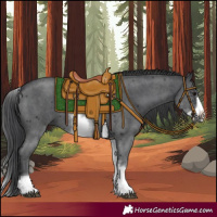 Horse Color:White Spotted Black Sabino Frame 