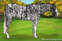 Horse Color:Smoky Creme Tobiano and Black Splash Tobiano